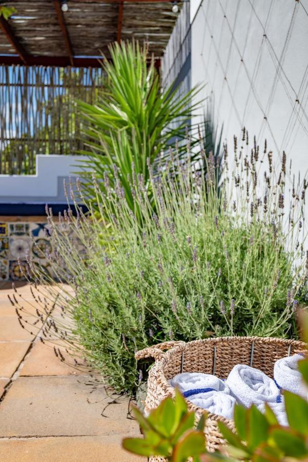 Hout&About Guest House Hout Bay Extérieur photo